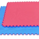 pol_pl_Mata-do-cwiczen-z-Ceryfikatem-Bezpieczenstwa-Puzzle-1x1m-z-obramowaniem-Tatami-2-cm-1360_6